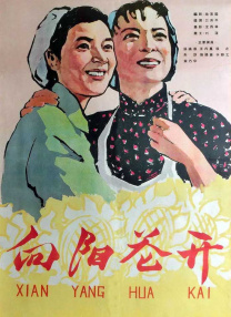 伊人碰碰